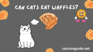 Can Cats Eat Waffles