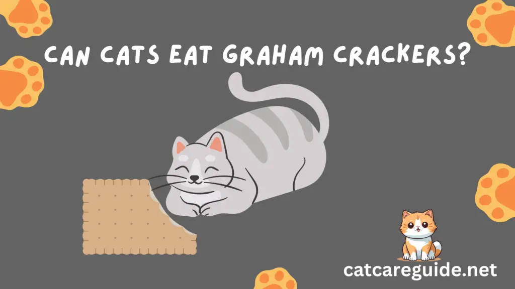 Can Cats Eat Graham Crackers