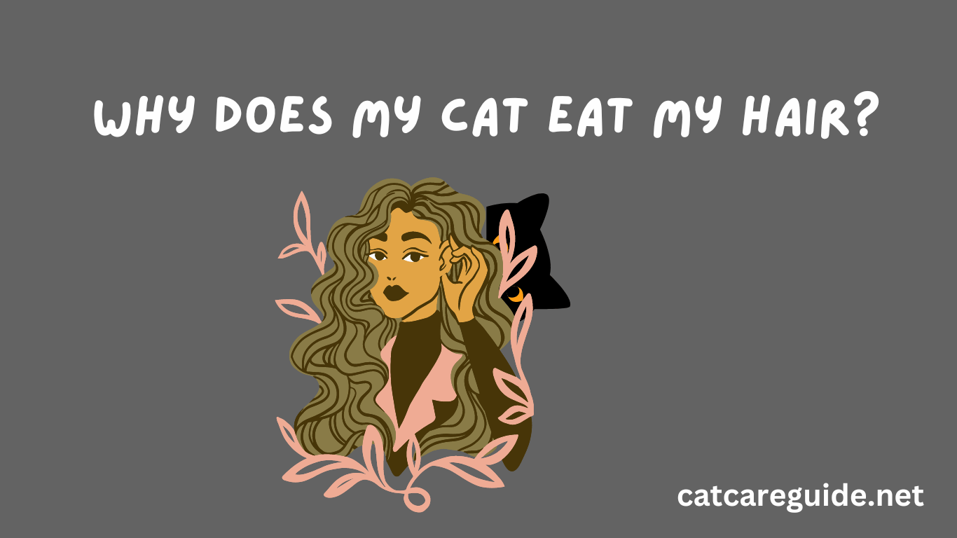 Why Does My Cat Eat My Hair?