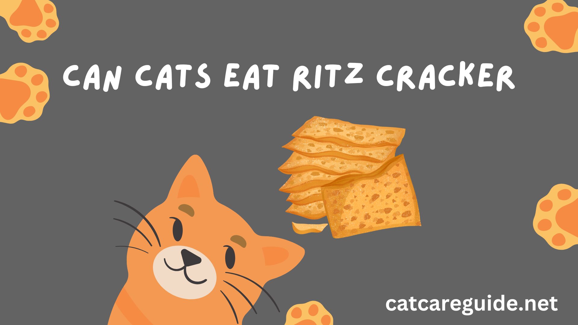 Can Cats Eat Ritz Crackers?