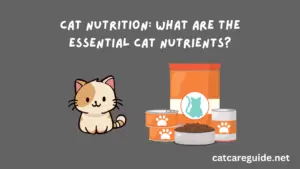 What Are the Essential Cat Nutrients?